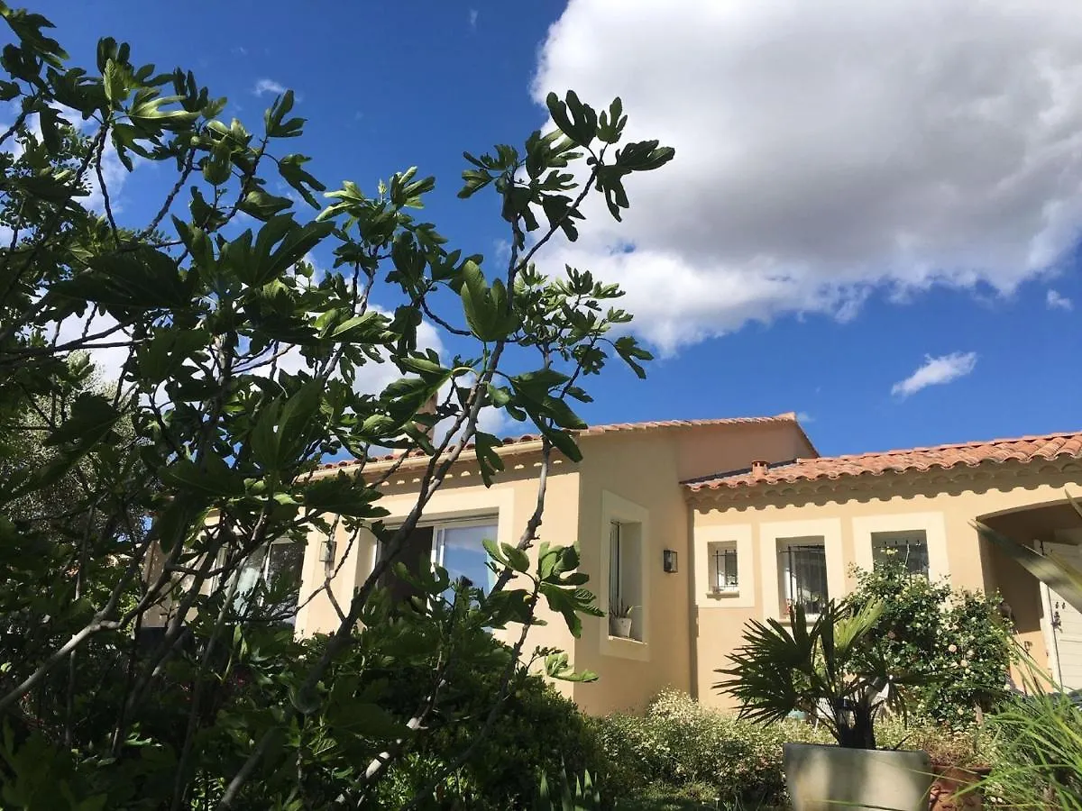 Picturesque Holiday Home With Garden Vaison-la-Romaine