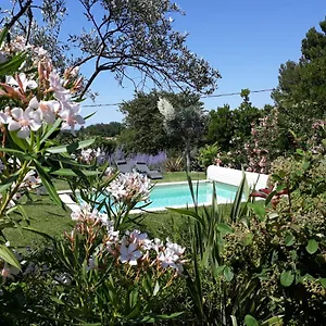 Hébergement de vacances Parfums De Provence L'oliveraie - Piscine Chauffée&spa, Vaison-la-Romaine
