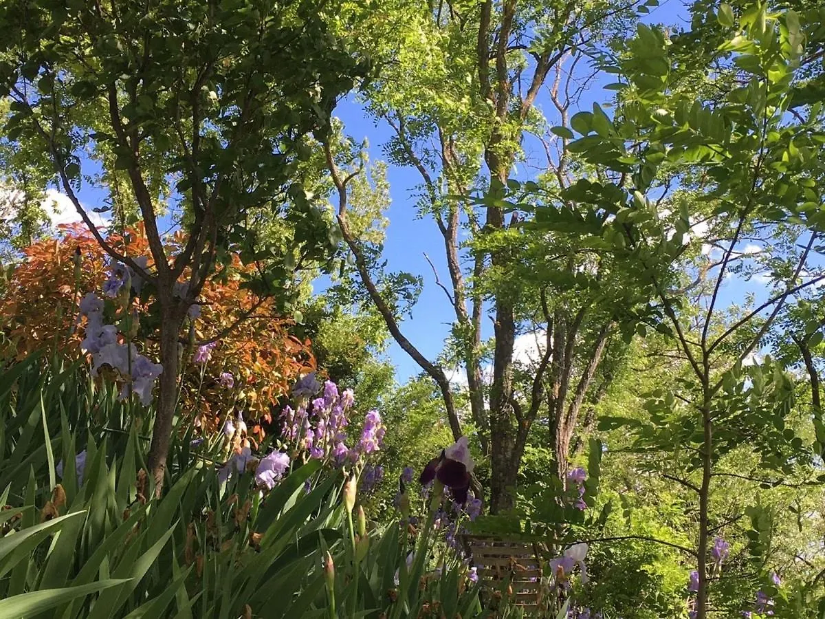 Picturesque Holiday Home With Garden Vaison-la-Romaine